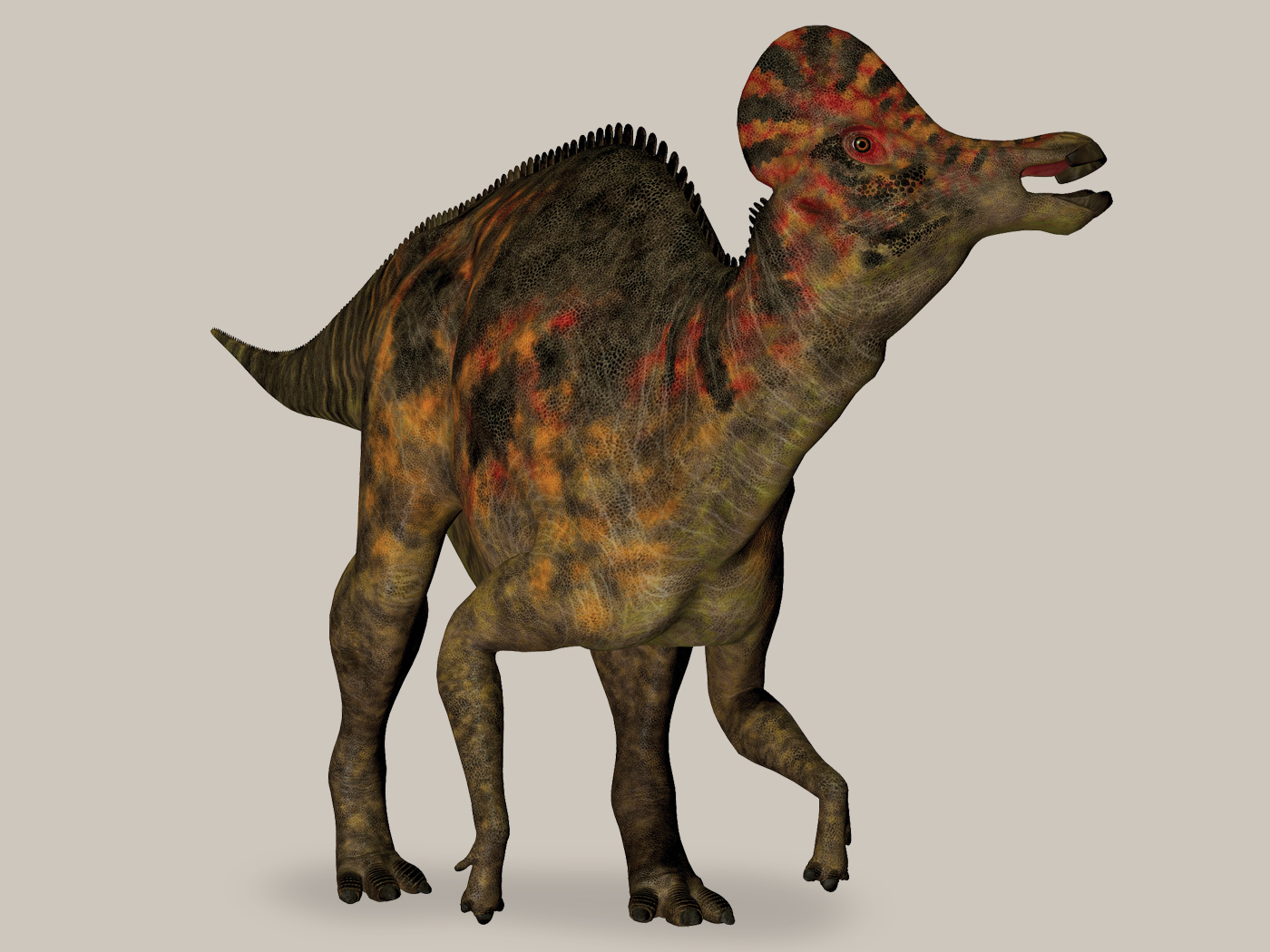 duck billed dinosaur with crest